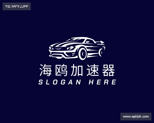 关于海鸥加速器